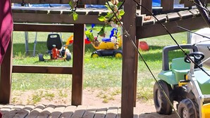 A person sitting on the ground with a goat, a wooden structure overhead, and a green vehicle in the background.
