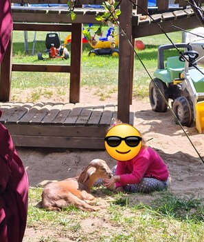Animaux de compagnie acceptés