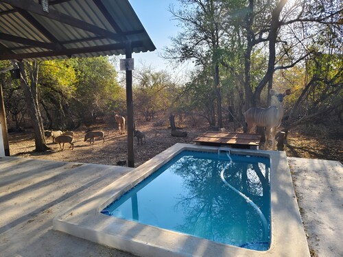  Bush and Gables Cottage