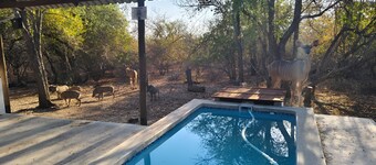  Bush and Gables Cottage