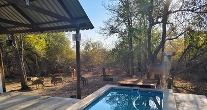 Bush and Gables Cottage