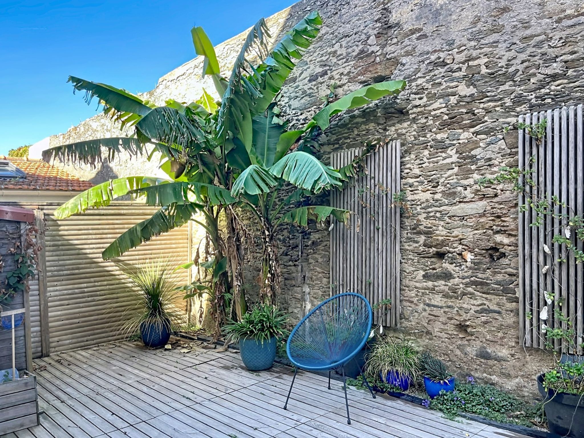 Une terrasse en bois avec un mur en pierre, un grand bananier et une chaise bleue.