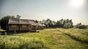 Área da propriedade