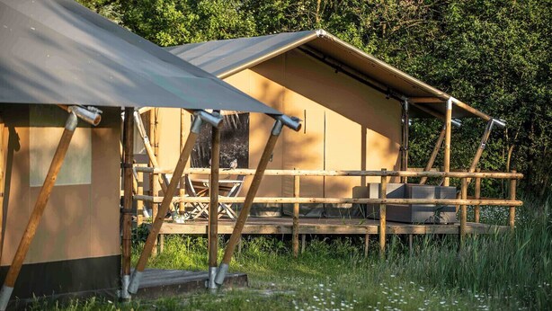 Eine Holzterrasse mit Metallüberdachung, umgeben von Grünpflanzen.