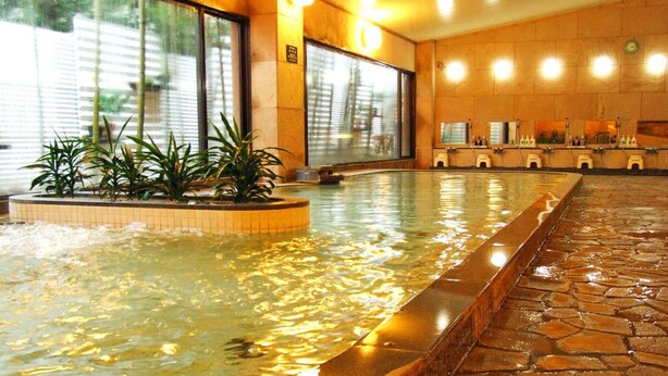 An indoor swimming pool with a stone border, potted plants, and a tiled floor. - Arima Onsen Maple Arima (Kobe)