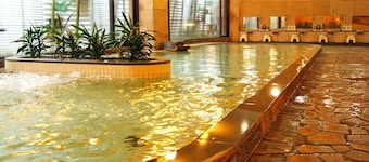 Arima Onsen Maple Arima