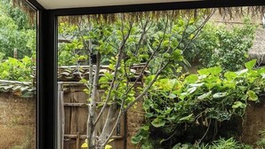 コンフォート ダブルルーム | 部屋からの景観