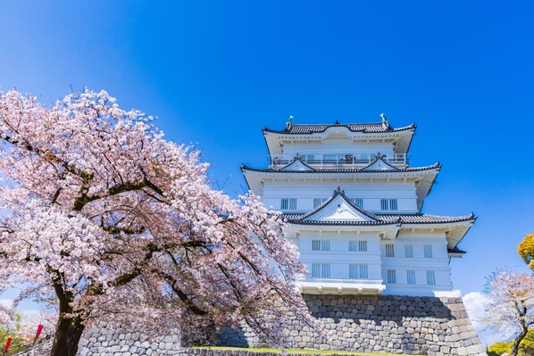 A traditional Japanese castle with multiple tiers, stone walls, and a cherry blossom tree in the foreground.