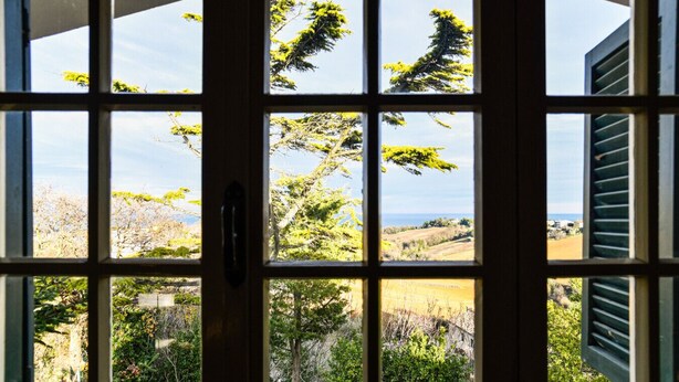 A view through a window with multiple panes, revealing a landscape with trees and a distant horizon. - Mary Jungle - Sant`Elpidio a Mare (Sant` Elpidio a Mare)