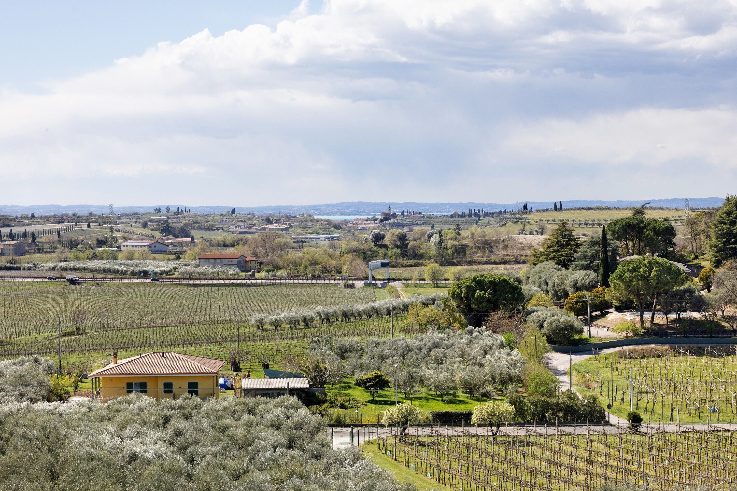 Weinlandschaft mit einem gelben Gebäude, Rebenzeilen und sanften Hügeln im Hintergrund.