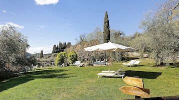 Terrain de l’hébergement