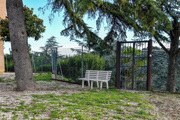 A bench in a garden area with a metal gate and trees. - Mary Jungle (Sant'Elpidio a Mare)
