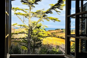 Vista por la ventana de un árbol de coníferas y colinas ondulantes.