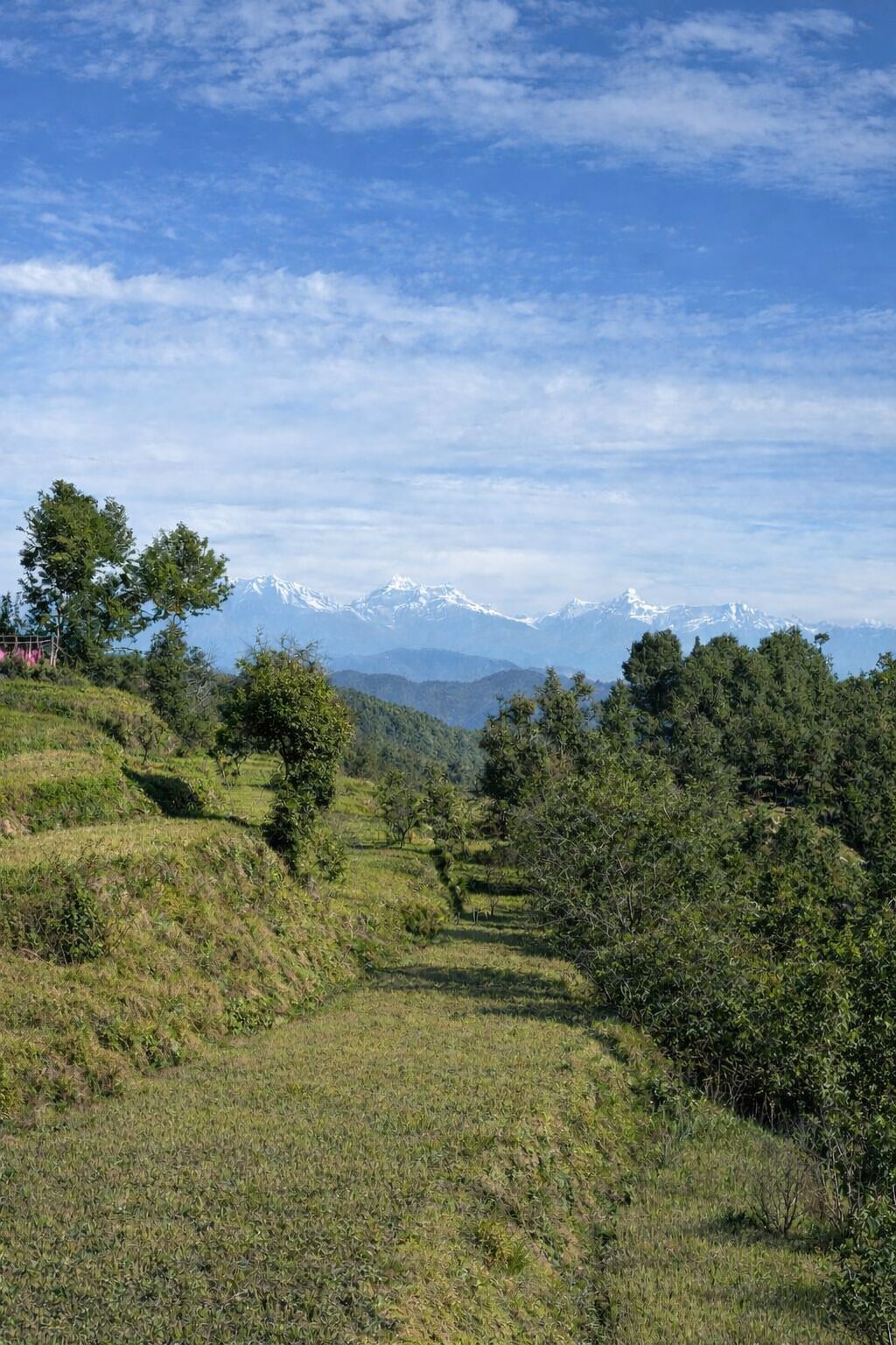 Luksushuvila | Sekalaista