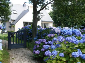 A house with a gravel path leading to a gate, surrounded by lush hydrangea bushes. - “Les Agapanthes” Guest Room with Shared Terrace, Private Garden and Wi-Fi (Perros Guirec)