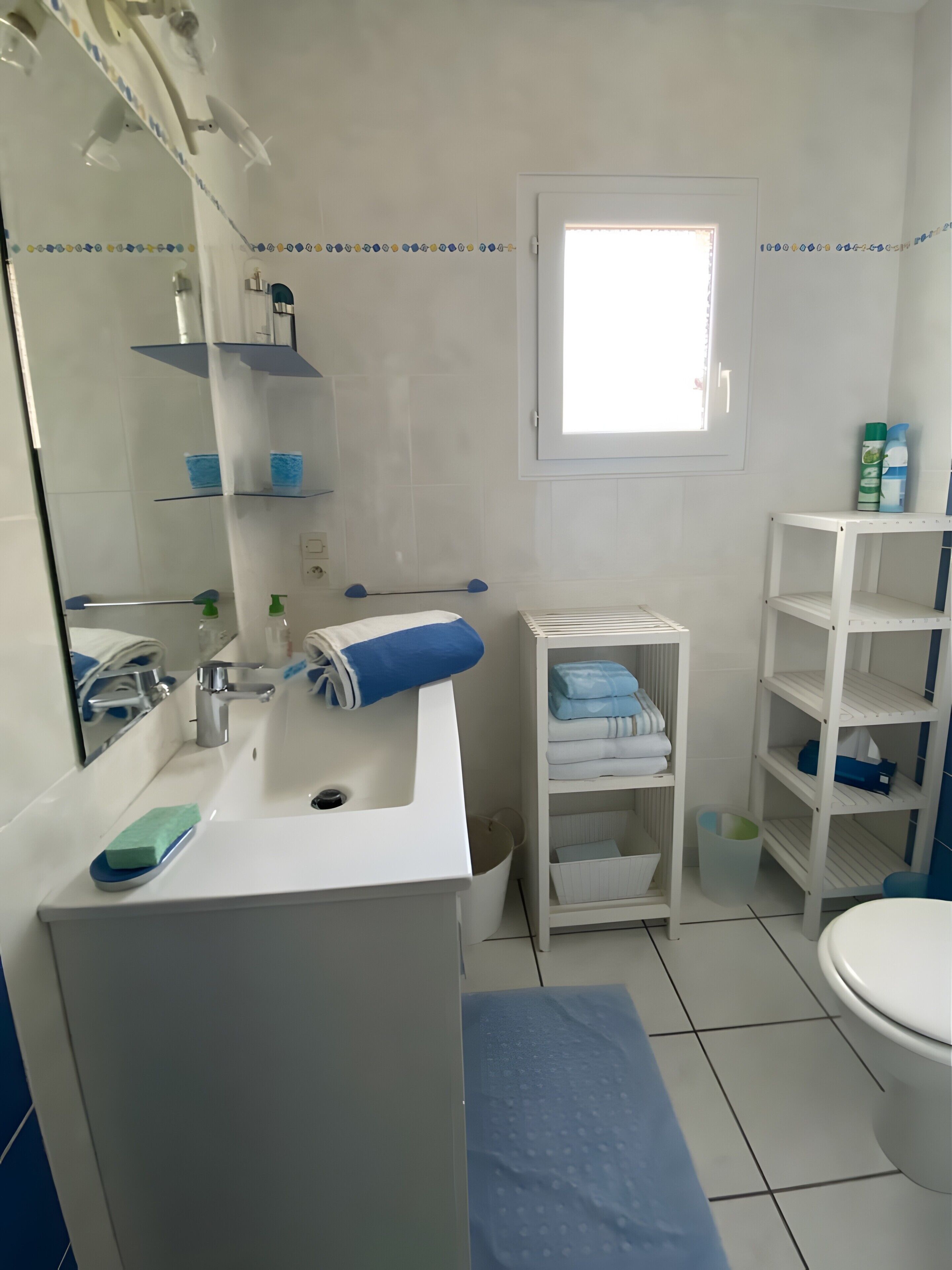 Een badkamer met een wastafel, spiegel, planken en een raam.