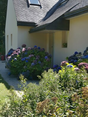 Detalle del exterior