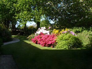 Overnatningsstedets område