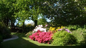 Un jardin avec un chemin de gravier, différents arbustes à fleurs et un mur de pierre.