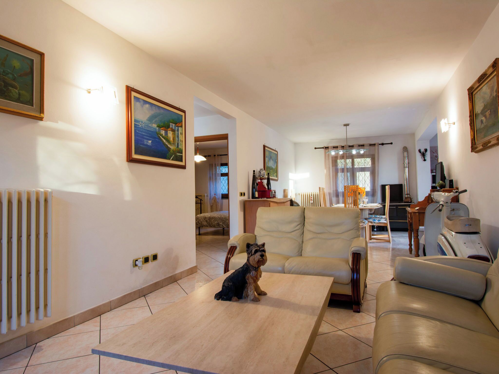 Un salon spacieux avec un canapé, une table basse et un chien. Il y a des tableaux accrochés aux murs et un radiateur sur le côté gauche.