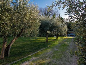 Property grounds - tre fontane by Interhome (Monsummano Terme)