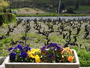 Property grounds - Bed and Breakfast 'Chambre D'hôtes Gardette - ' with Mountain View, Balcony and Wi-Fi (Vaux-en-Beaujolais)