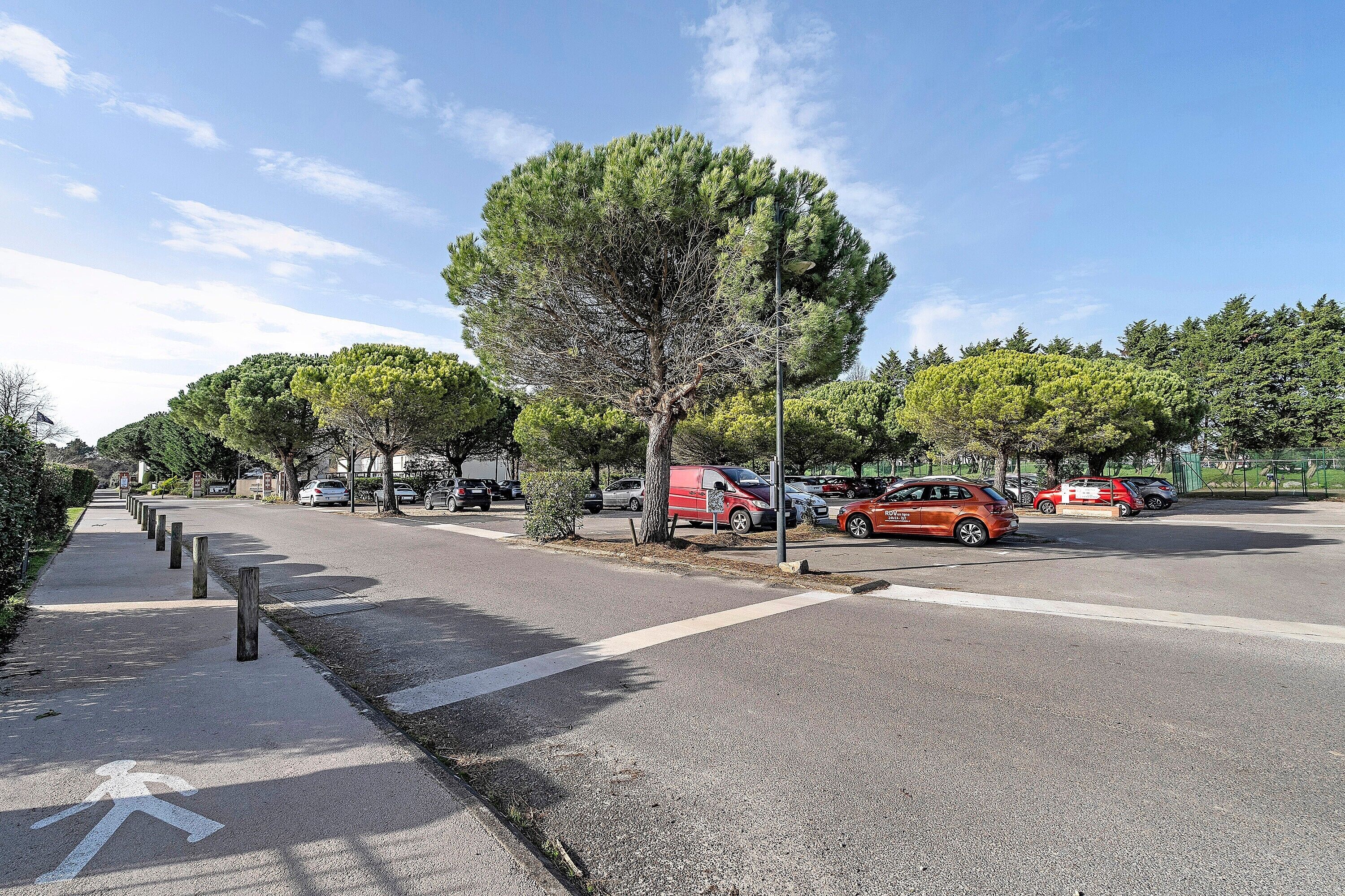 Une rue avec un chemin piétonnier, des voitures garées et des arbres.
