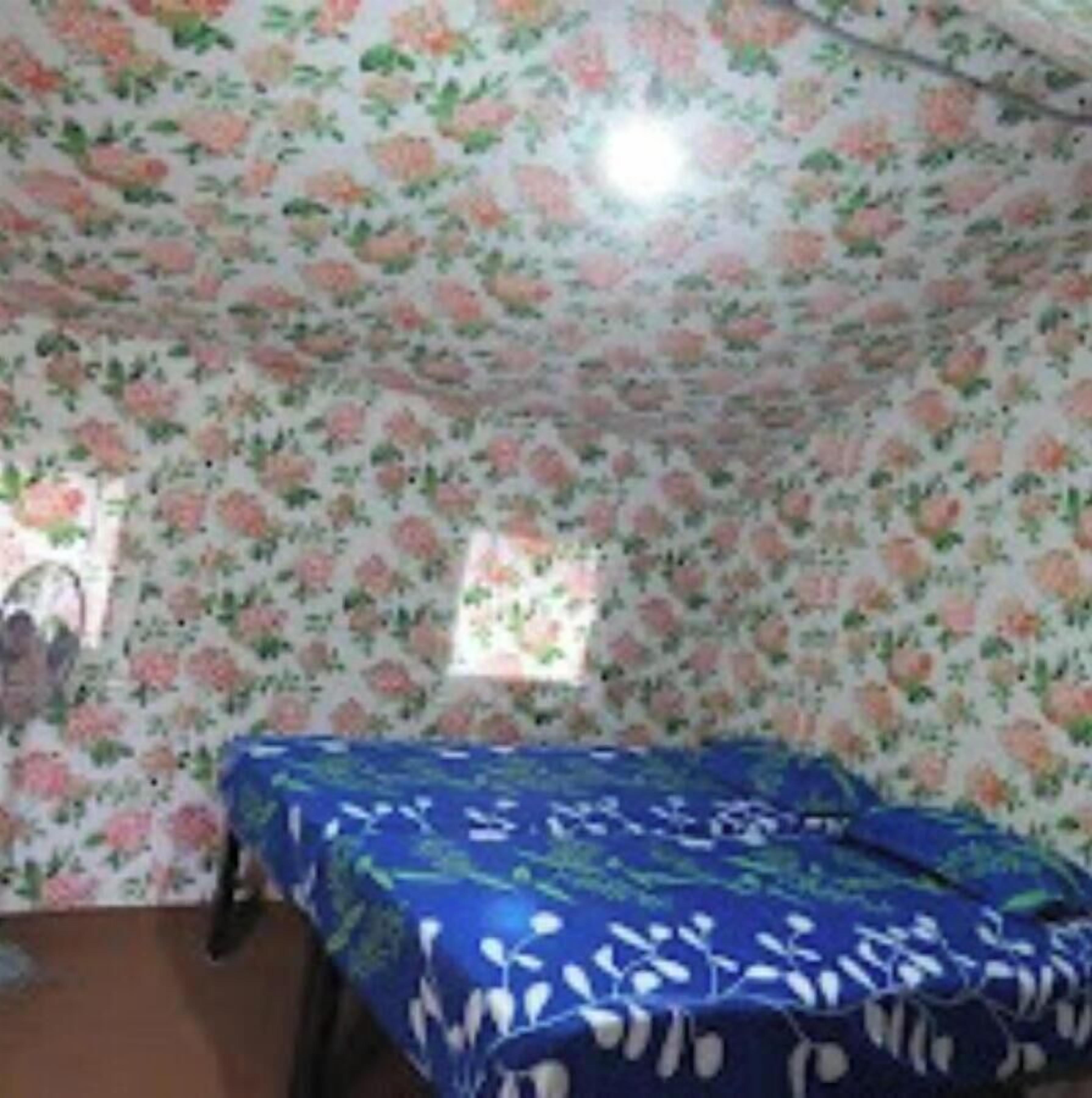 Deluxe Tent | Free WiFi