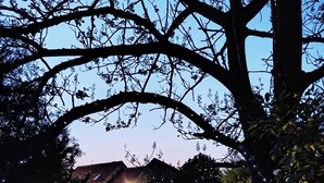 A house with a stone facade, surrounded by a well-maintained lawn and trees. - Chez Cilia Bed and Breakfast - Garden, Parking | Parc Astérix, Senlis, Chantilly (Fresnoy-le-Luat)