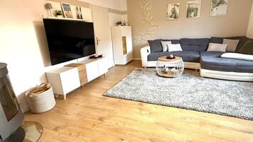 TV, fireplace, video games