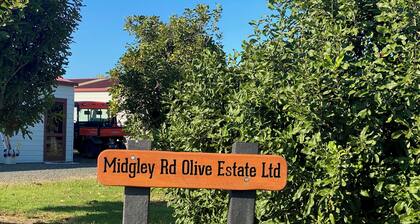 Studio in amongst olive trees and Macadamia trees Wake up to birds singing