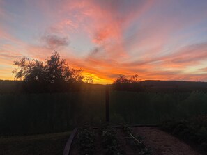 Miscellaneous - Studio in amongst olive trees and Macadamia trees Wake up to birds singing (Mangōnui)