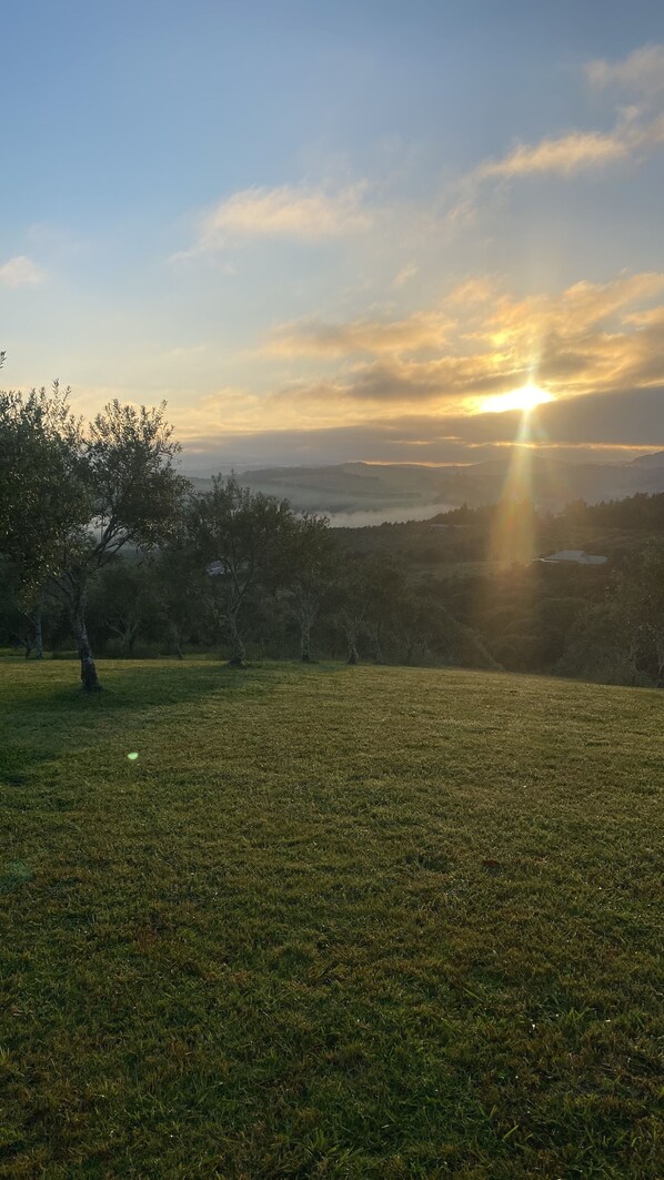 A grassy field with trees and a distant view of the sun setting over a hilly landscape.