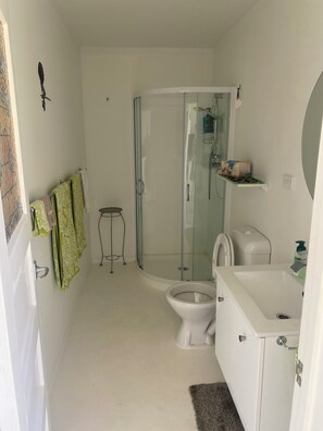 Hair dryer, towels, soap, toilet paper