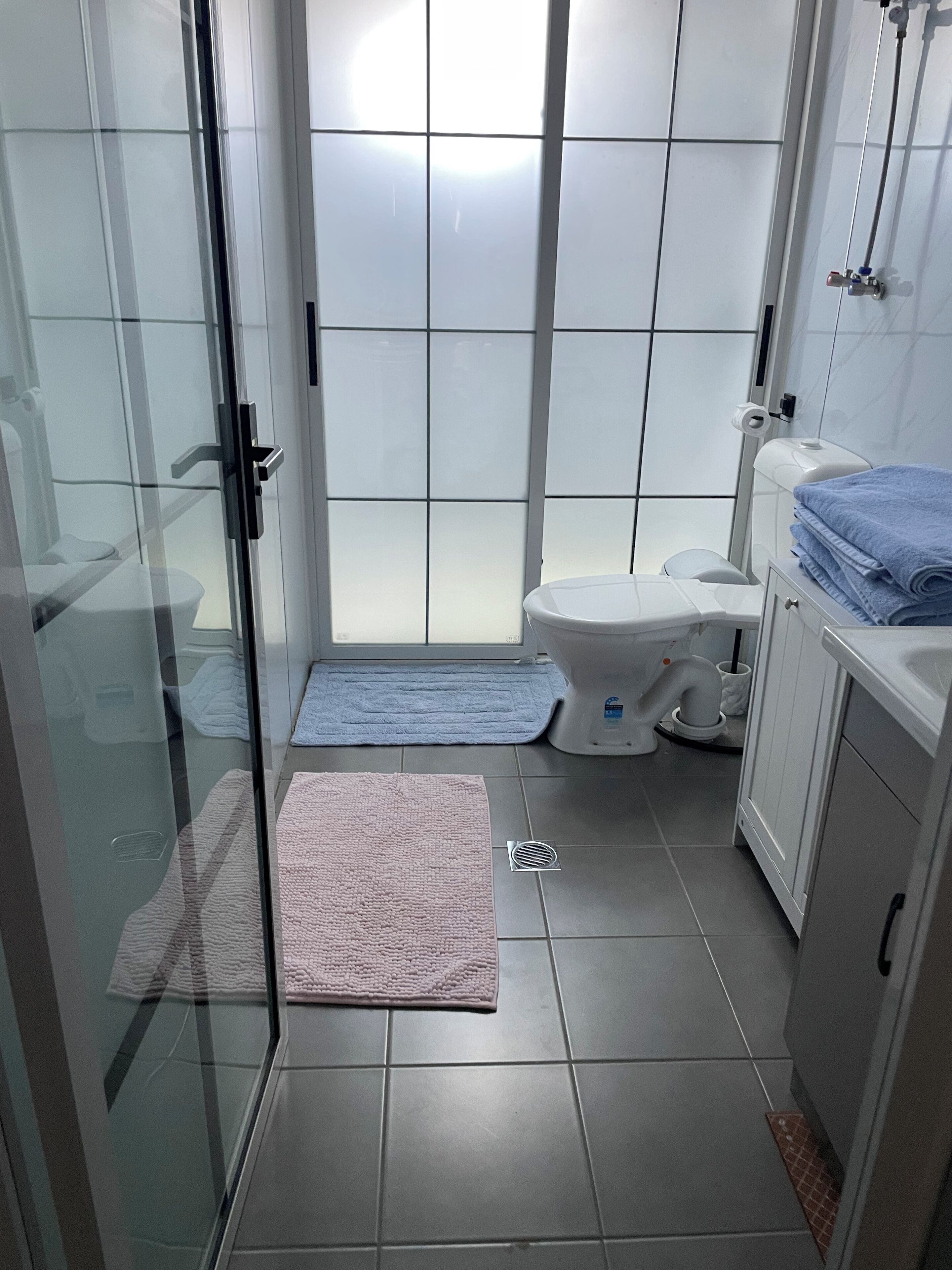 Shower, towels, toilet paper