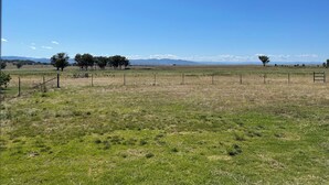 A wide-open field with a fence, trees, and distant mountains under a clear blue sky. - Cabin and horse paddock for rent (Bective)