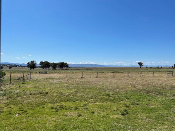 A wide-open field with a fence, trees, and distant mountains under a clear blue sky.