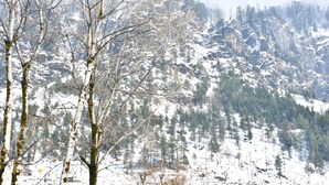 A snowy mountainous landscape with trees. - Hotel Rosh Villa (Manali)