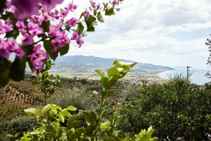 Miscellaneous - Cozy Apartment in the Heart of Casal Velino (Casal Velino)