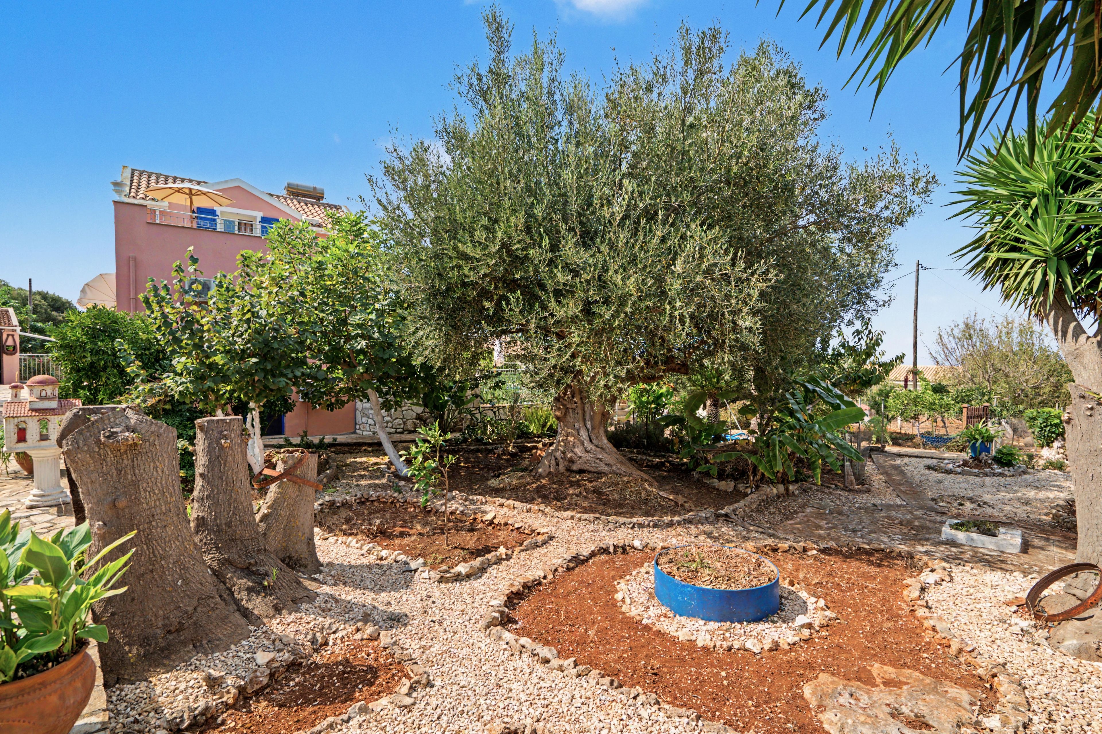 Um jardim com uma grande árvore, caminhos de pedra e um edifício ao fundo.