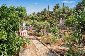 A garden pathway leading to a white building with a red roof, surrounded by various plants and trees.