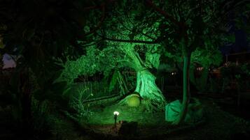 Ein Baum mit einem dicken Stamm und einem kugelförmigen Objekt an der Basis, umgeben von dichtem Grün.