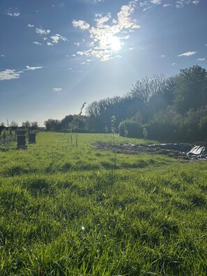 Property grounds - Ecogîte on a farm 14km from the beach (Rinxent)