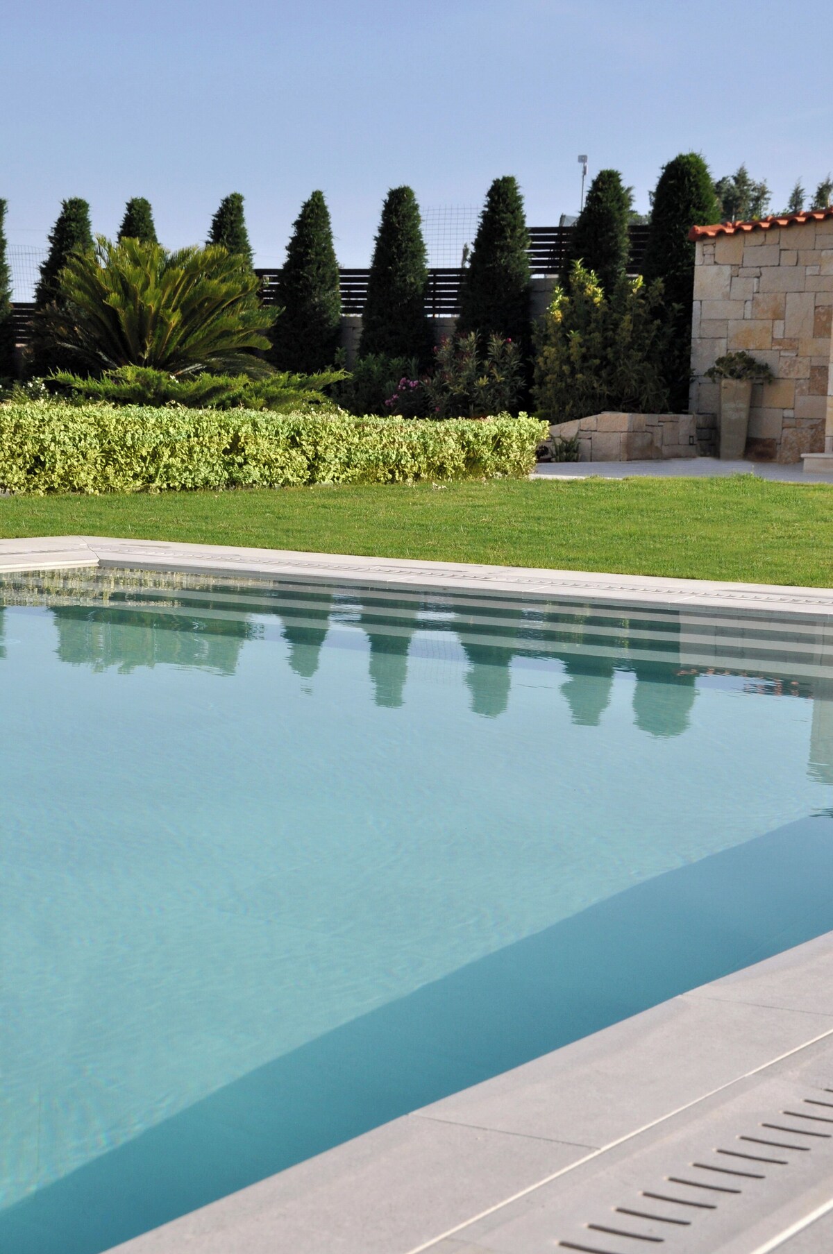 Imagen de perfil del propietario o de la propietaria