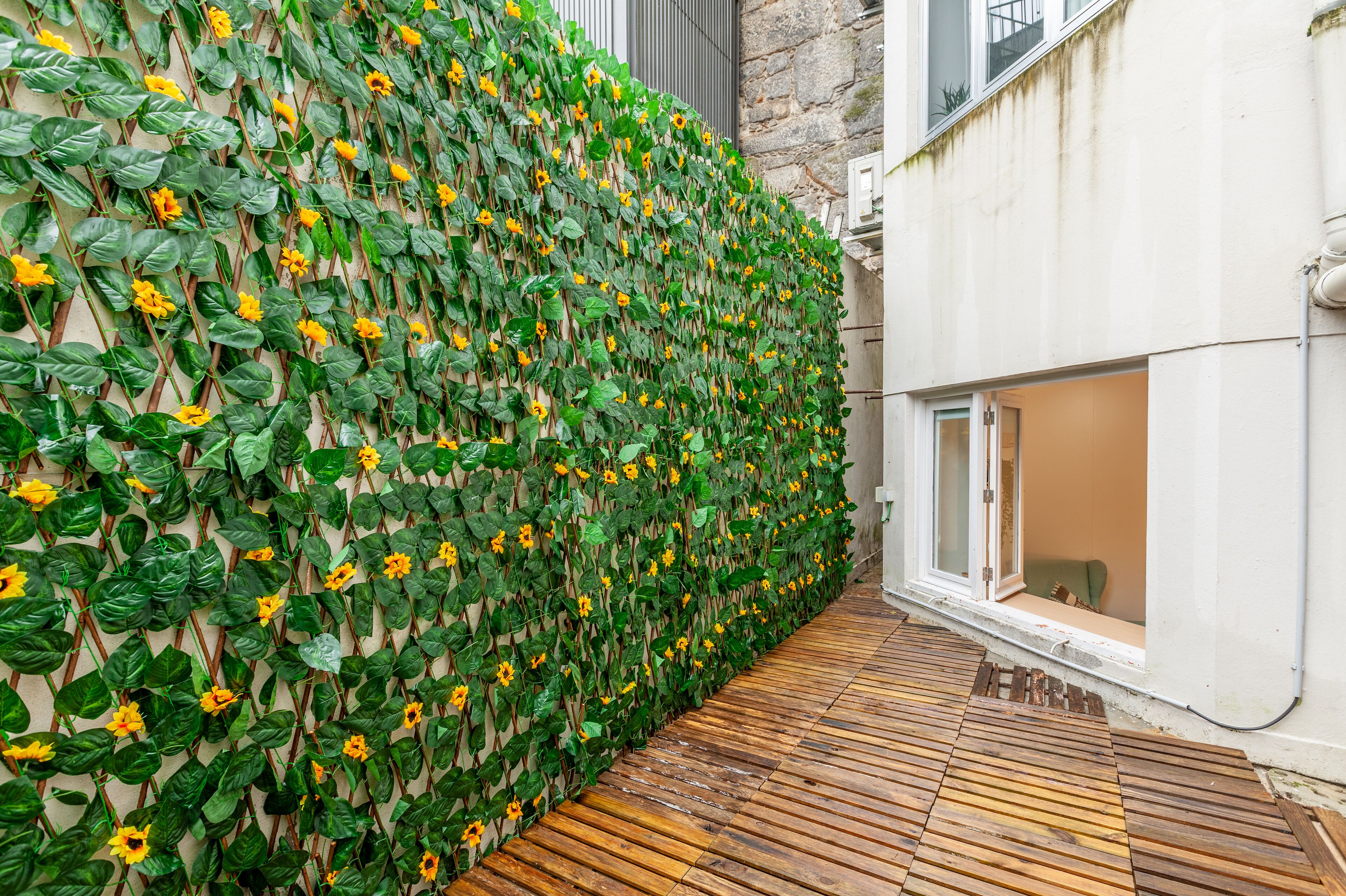 Estudio estándar | Terraza o patio