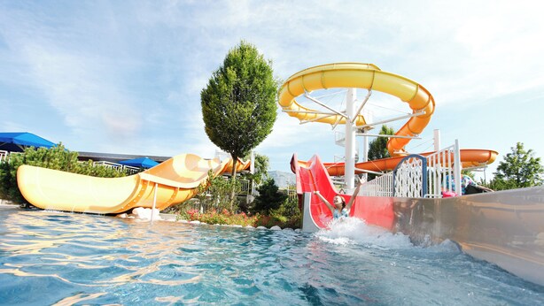 A water park with a large pool, two water slides, and a tree. - Cozy vacation home in charming nature and mountain scenery! Dogs welcome! (Abtenau)