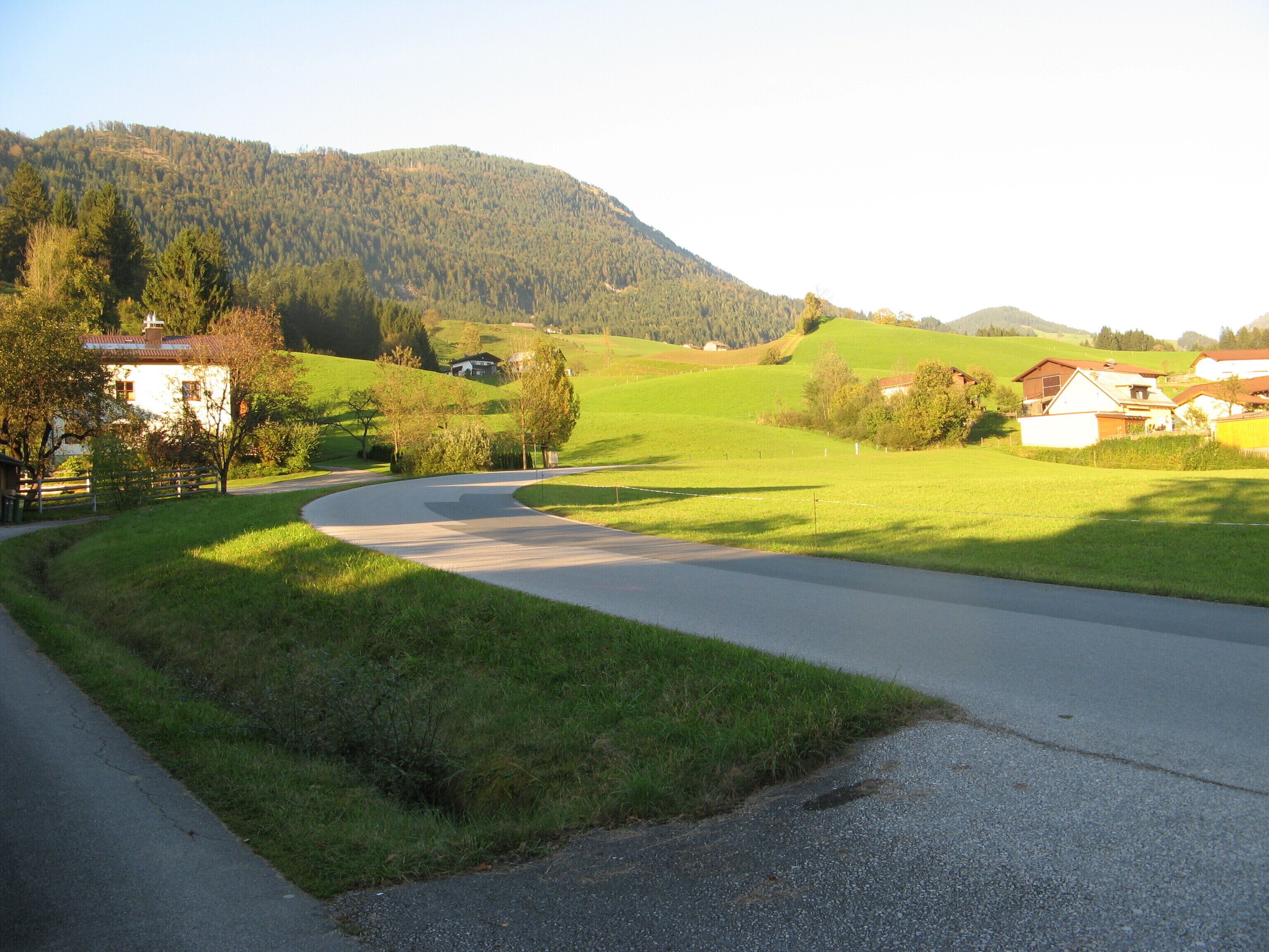 Eine ländliche Straße schlängelt sich durch eine grüne Landschaft mit Häusern am Wegesrand.