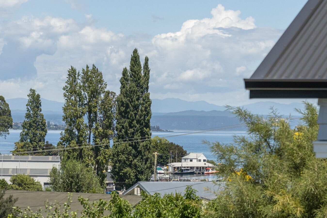 A coastal view with tall trees, a body of water, and distant mountains.