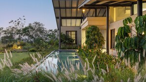 Une maison moderne avec une piscine, entourée d’une végétation luxuriante et d’herbes hautes.