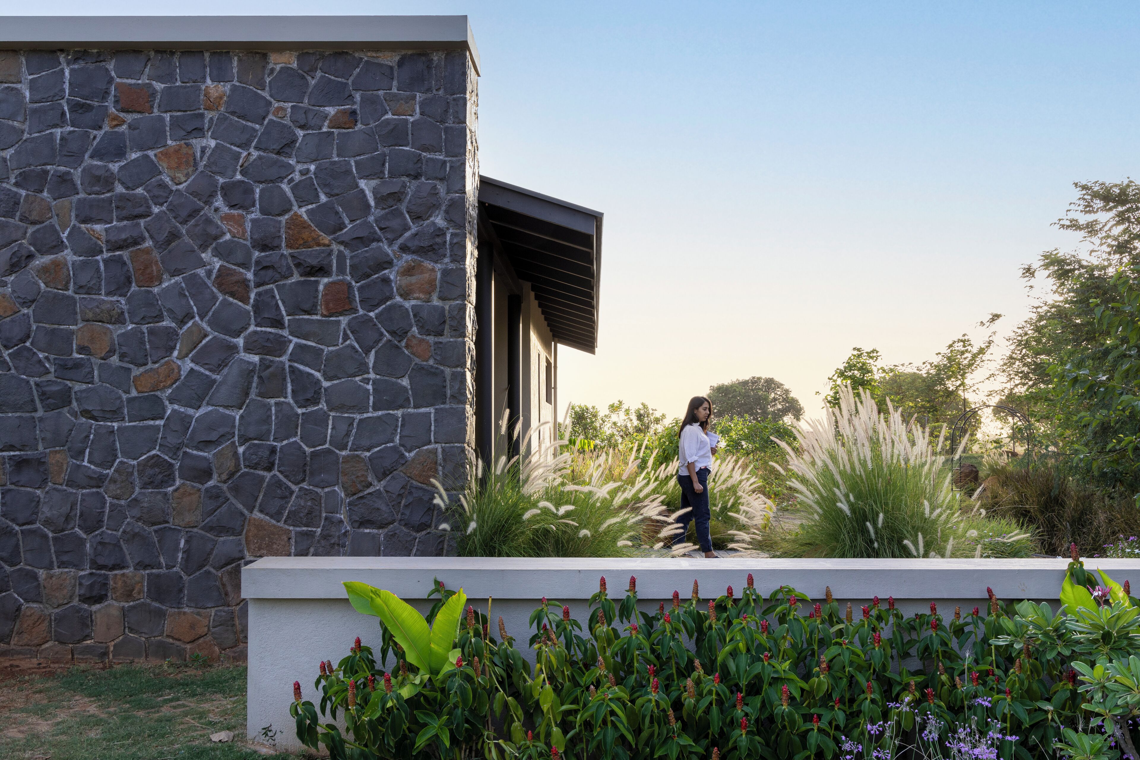 Área da propriedade